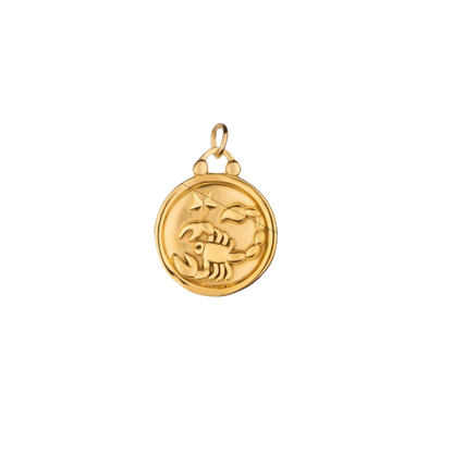 Zodiac Charms
