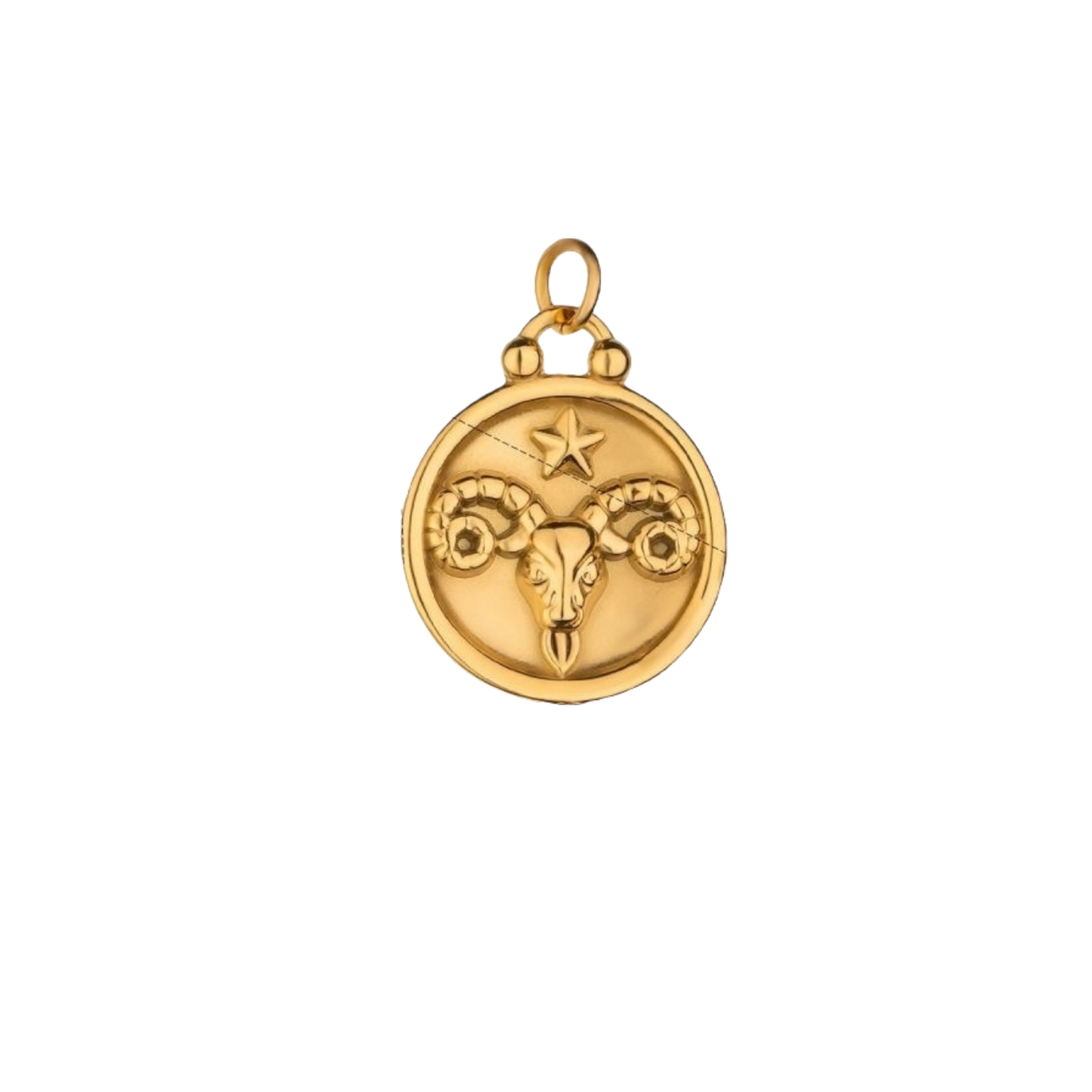 Zodiac Charms