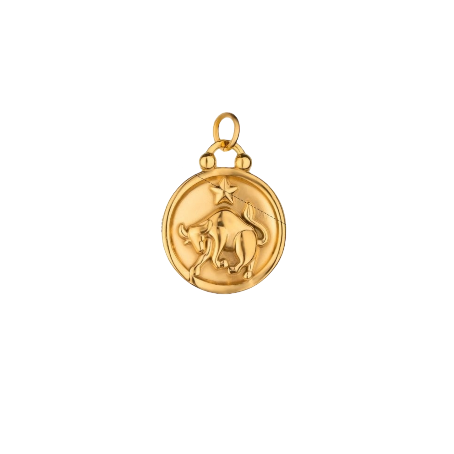 Zodiac Charms