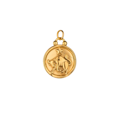 Zodiac Charms